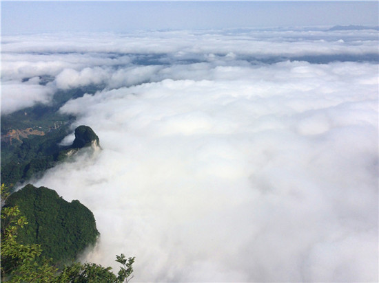 20150605153404_81985.jpg