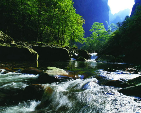 easu6xi84rbsp8y8xykn.jpg